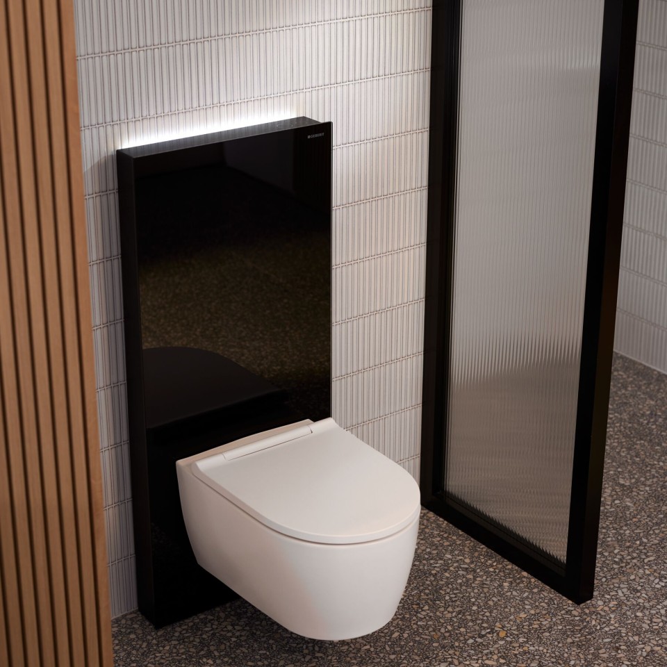 Geberit Monolith Plus Sanitärmodul